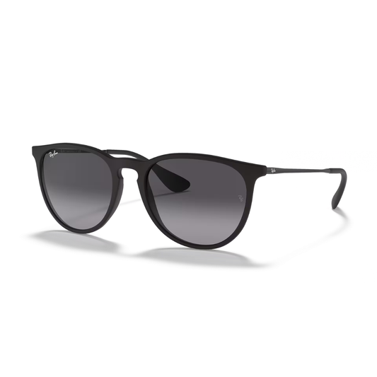 Ray-Ban Erika Black