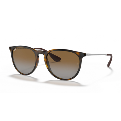 Ray-Ban Erika Verde & Negro