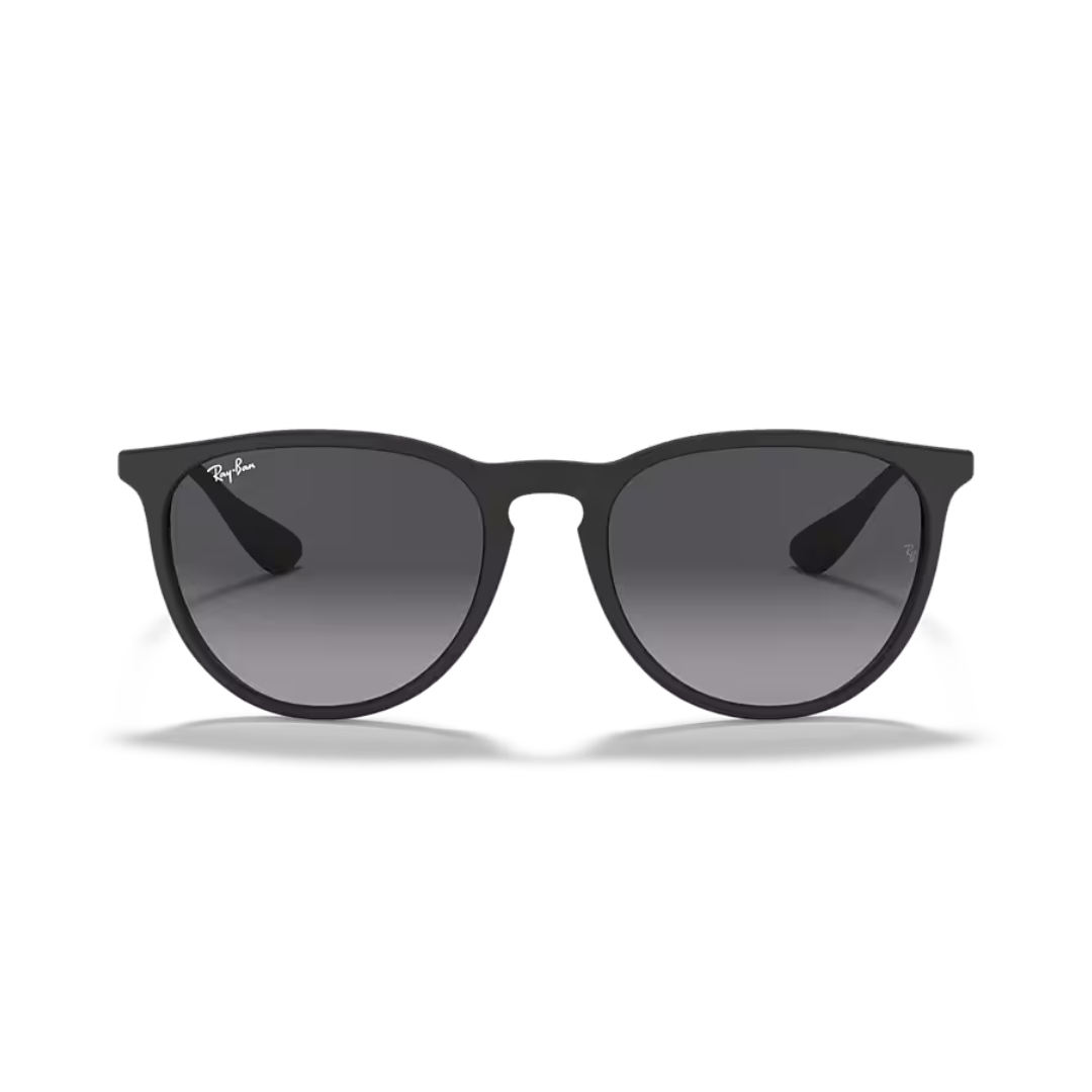 Ray-Ban Erika Black