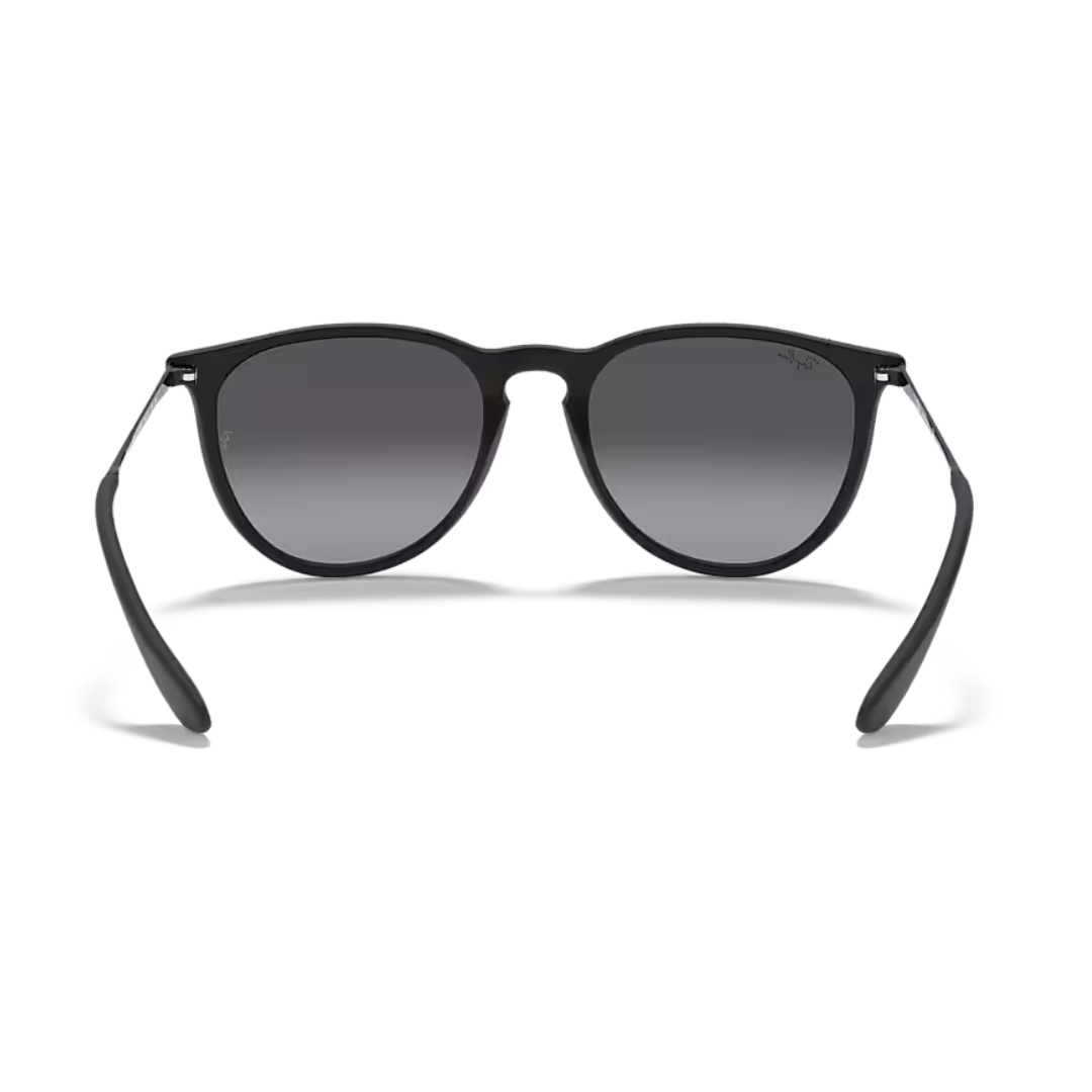 Ray-Ban Erika Black